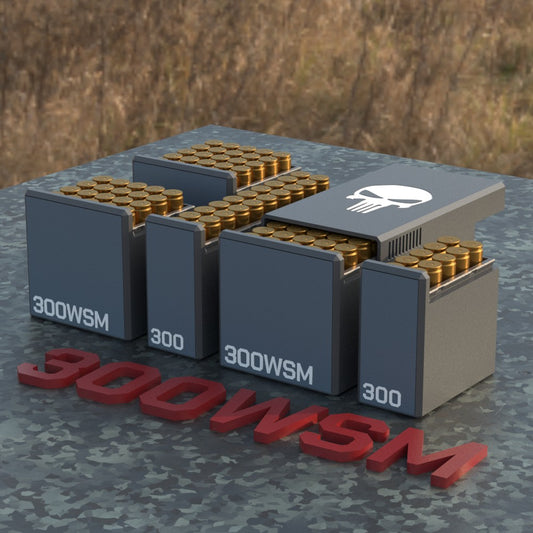 Filamelt Munitionsbox / Ammo .300 WSM – Patronenbox für 50 Schuss, Made in Germany